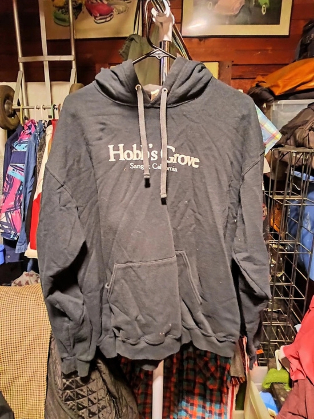 Graphic Pullover Hoodie in Gray